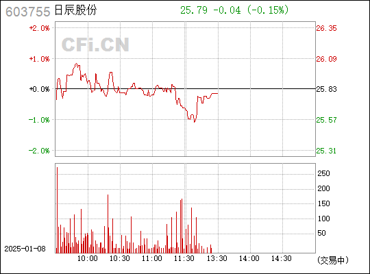 日辰股份股票,日辰股份股票的温馨日常故事
