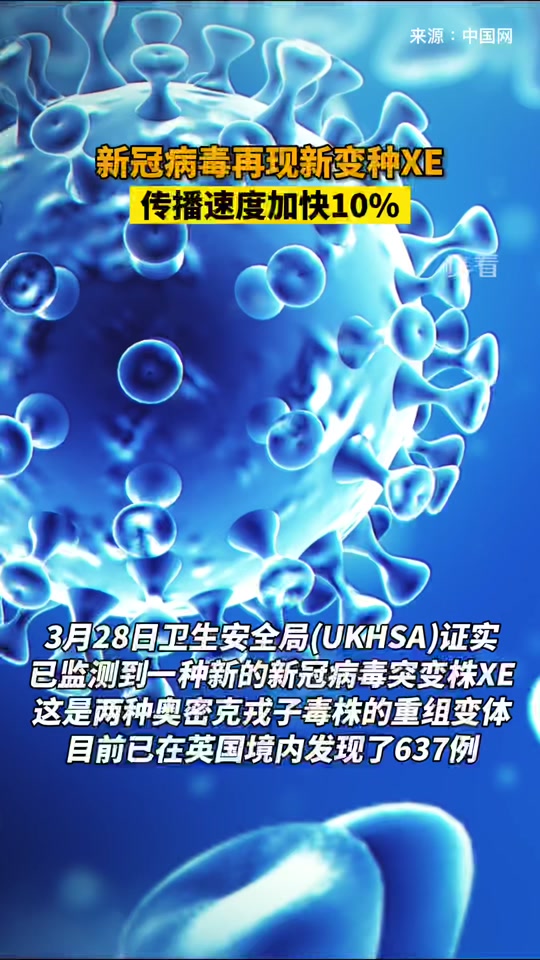 最新病毒测试，时代背景下的挑战与突破探索