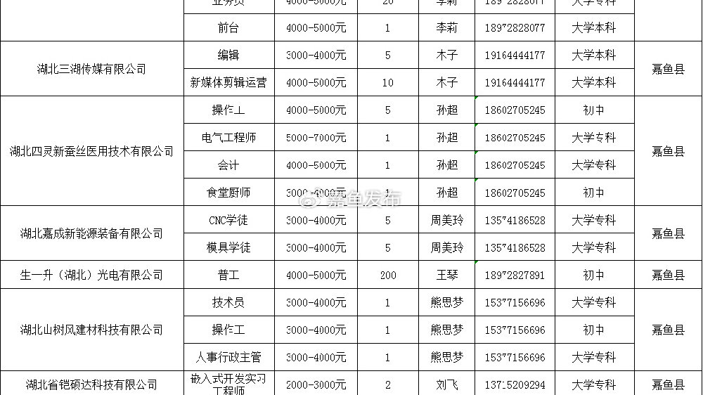 嘉鱼最新招聘信息概览，影响及观点阐述