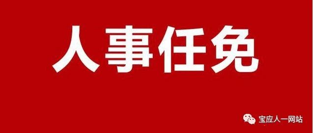 宝应县委最新人事任免消息及动态更新