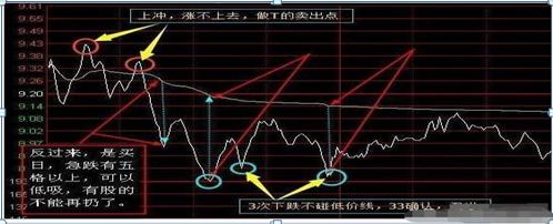 小杨探秘股市，揭秘股票手续费究竟多少钱？