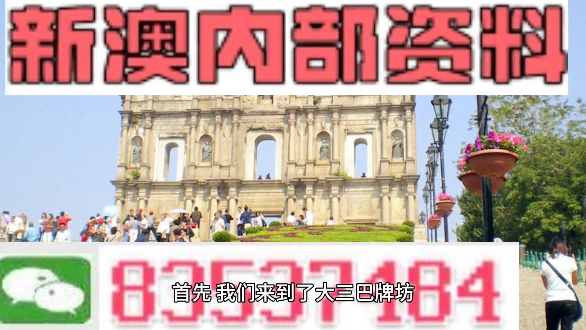 2024新澳三期必出三生肖,專家解析意見_计算能力版2.249
