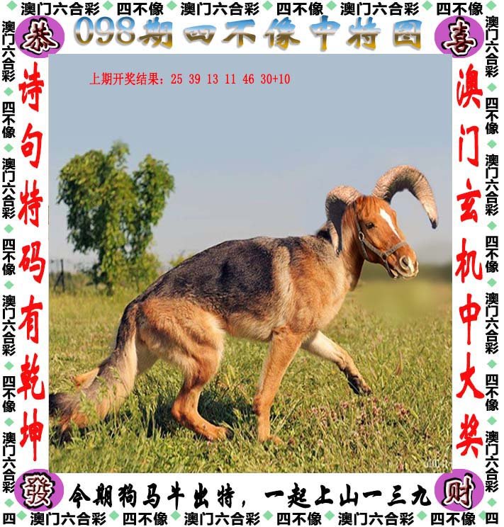 新澳2025今晚开奖资料四不像,统计信息解析说明_未来版24.255