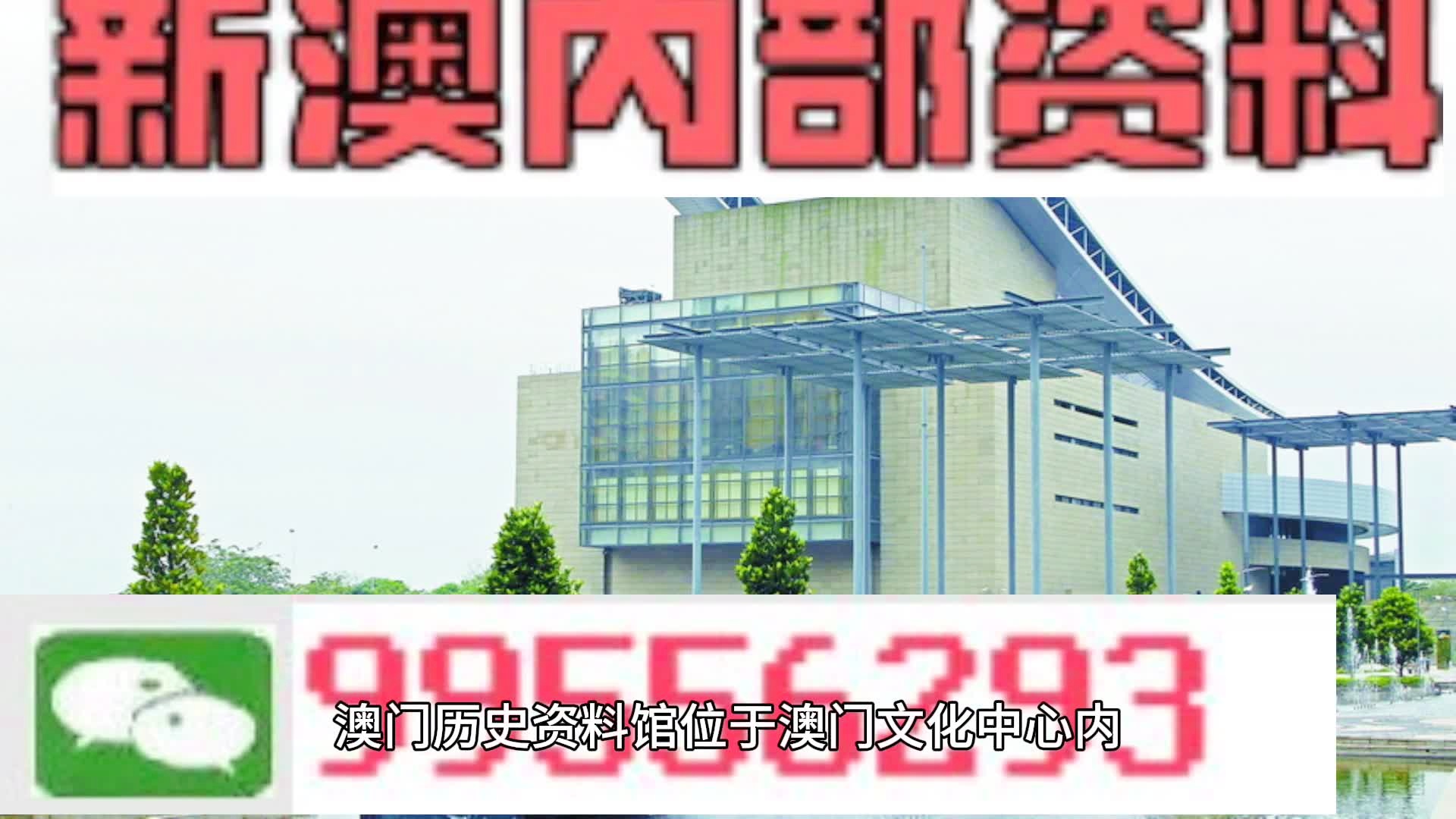 新澳门精准四肖期期中特公开,实地观察解释定义_便携版80.807