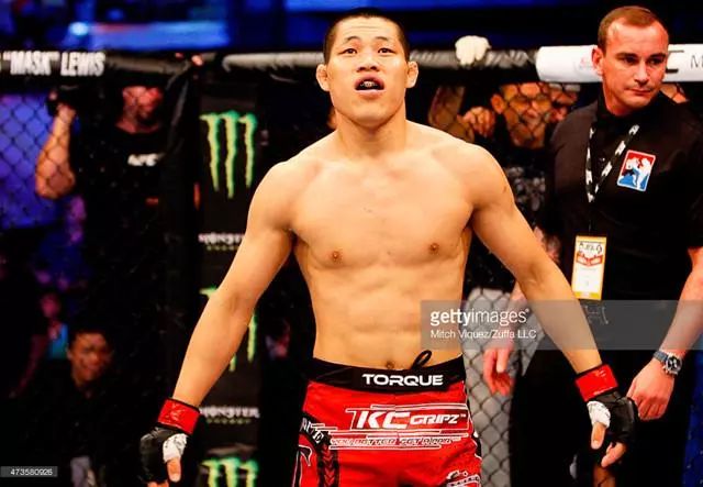 李景亮最新UFC排名，综合分析与观点阐述
