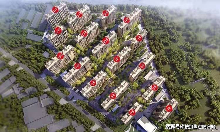 范增玉最新动态，时代先锋展现崭新动向