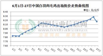 最新鸡肉价格变化与励志前行之路