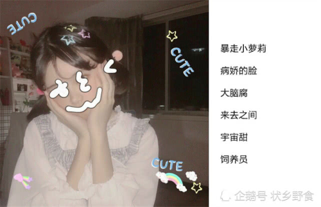 最新超火网名演变与流行趋势揭秘，一网名的时尚变迁与热门选择