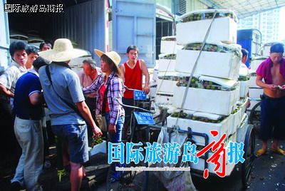 最新羊肠收购商，时代背景下的产业变革探索