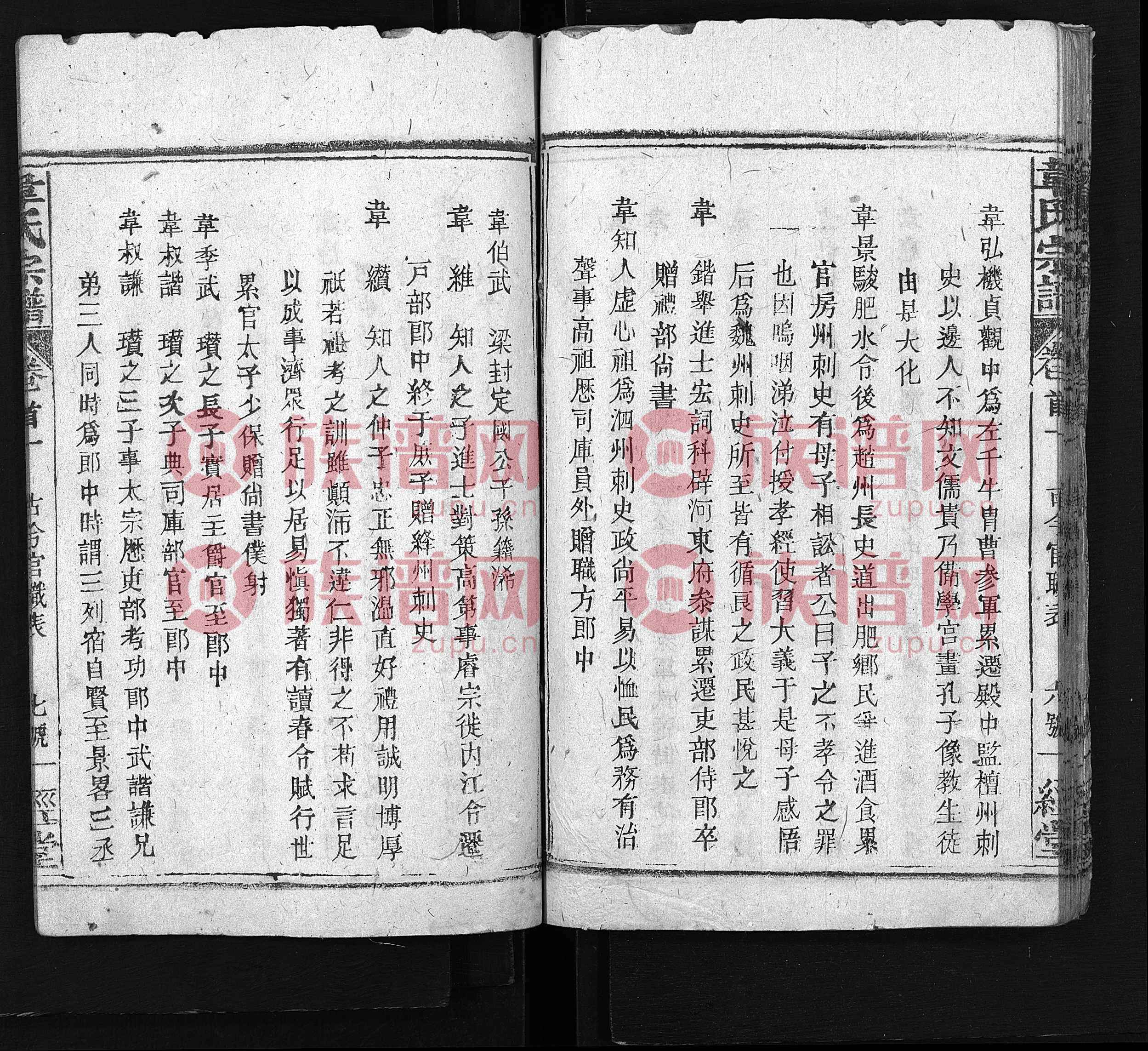韦氏家谱揭秘，家族纽带与温馨趣事的新篇章